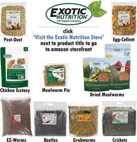 img 1 attached to 🐛 EZ Worms: Premium Blend of Dried Mealworms & Black Soldier Fly Larvae (BSFL) - The Ultimate Healthy Insect Treat for Chickens, Bluebirds, Sugar Gliders, Hedgehogs, Squirrels, Skunks, Reptiles, Turtles, and Fish