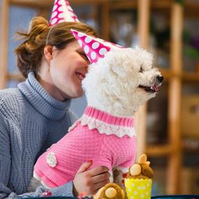 img 3 attached to Joytale Small Dog Sweater Turtleneck Dress, Soft & Warm Fall Winter Pet Cable Knitwear Clothes with Cute Flower, Girl & Boy Dog Pullover Knitted Sweaters for Small Dogs, Pink