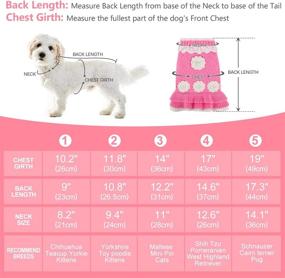 img 1 attached to Joytale Small Dog Sweater Turtleneck Dress, Soft & Warm Fall Winter Pet Cable Knitwear Clothes with Cute Flower, Girl & Boy Dog Pullover Knitted Sweaters for Small Dogs, Pink