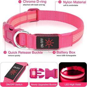 img 2 attached to Dlitk LED Dog Collar: Rechargeable Safety Collar for Dogs, Adjustable & Illuminating for Enhanced Visibility