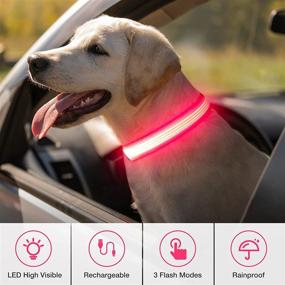 img 3 attached to Dlitk LED Dog Collar: Rechargeable Safety Collar for Dogs, Adjustable & Illuminating for Enhanced Visibility