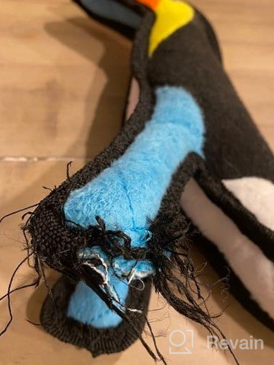 img 1 attached to World'S Toughest Soft Dog Toy - Zoo Junior Toucan By TUFFY: Durable And Strong, Perfect For Interactive Play (Tug, Toss, And Fetch). Machine Washable And Floats. review by John Wood