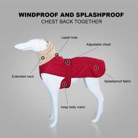 img 3 attached to 🐶 Didog Waterproof Dog Winter Jackets - Keep Your Pet Warm and Dry in Cold Weather with Soft Fleece Lining and Windproof Design - Perfect Outdoor Apparel for Medium to Large Dogs, Red