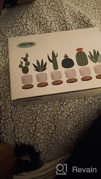 img 1 attached to Add Elegance To Your Space With ZOUTOG Mini Ceramic Succulent Planters - Pack Of 4 review by Ken Ayo