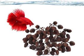 img 2 attached to 🐠 JOR Alder Cone Water Conditioner for Betta Fish - Enhancing Native Habitat, Stress Relief, Nursery & Food Source - pH Adjustment, Ideal for Filter or Freely in Aquarium - Pack of 60 Cones JOR