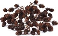 🐠 jor alder cone water conditioner for betta fish - enhancing native habitat, stress relief, nursery & food source - ph adjustment, ideal for filter or freely in aquarium - pack of 60 cones jor logo