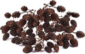 img 3 attached to 🐠 JOR Alder Cone Water Conditioner for Betta Fish - Enhancing Native Habitat, Stress Relief, Nursery & Food Source - pH Adjustment, Ideal for Filter or Freely in Aquarium - Pack of 60 Cones JOR