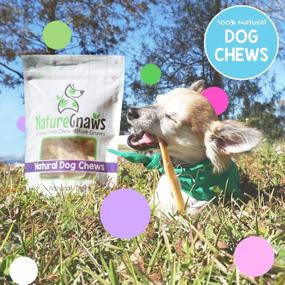 img 2 attached to Nature Gnaws Combo Pack - Long-Lasting Dog Chews For Puppies And Adult Dogs - Rawhide-Free Chew Bones, Bully Sticks, And Chew Sticks - Perfect For Teething And Dental Health - All-Natural (12 Count)