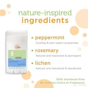 img 2 attached to 🌿 Refreshing All-Natural Rosemary Deodorant for Long-lasting Odor Protection