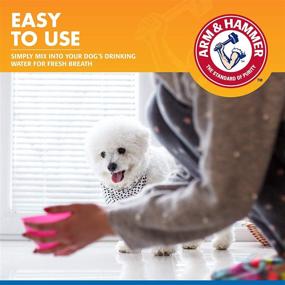 img 1 attached to 🐶 Arm & Hammer Dental Water Additive for Dogs, Tartar Control, Dog Dental Care, Reduces Plaque & Tartar, No Brushing Needed, 16 Fl Oz (Pack of 1), Odorless & Flavorless