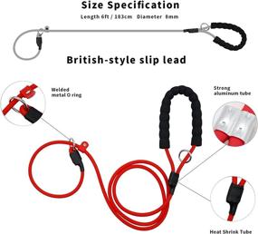 img 2 attached to 🐾 Waterproof Slip Lead Leash for Medium to Large Dogs - No-Pull Training, 6ft Candy Red
