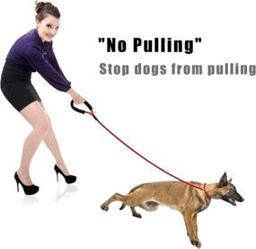 img 1 attached to 🐾 Waterproof Slip Lead Leash for Medium to Large Dogs - No-Pull Training, 6ft Candy Red