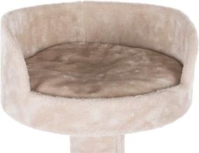 img 2 attached to 🐱 TRIXIE Tulia Senior Cat Tree: Multi-Level Scratching Posts, Comfortable Padded Platform, Cream Design