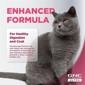 img 1 attached to GNC Pets Ultra Cat Gel Supplements: Enhancing Cat Health with Essential Vitamins, Hairball Relief & Multivitamin Support