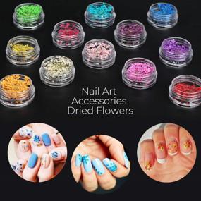img 3 attached to 24 Grids Dried Flowers Nail Art Accessories: 24 Colorful Life Nail Flower Stickers For DIY Crafts, Salon Decals & Resin Jewelry Design