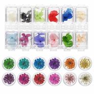 24 grids dried flowers nail art accessories: 24 colorful life nail flower stickers for diy crafts, salon decals & resin jewelry design logo