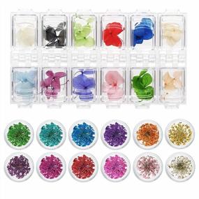 img 4 attached to 24 Grids Dried Flowers Nail Art Accessories: 24 Colorful Life Nail Flower Stickers For DIY Crafts, Salon Decals & Resin Jewelry Design