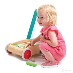 img 1 attached to 🚶 Tender Leaf Toys Baby Block Walker - Ultimate SEO-Optimized Product Name