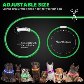 img 2 attached to 🐶 Enhance Pet Safety at Night: Waterproof, Rechargeable LED Dog Collar with Adjustable Size - 2 Pack