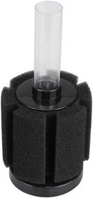 img 2 attached to 🐠 10-Gallon Betta Sponge Filter: Underwater Center Aquarium Filter for Tropical Fish & Breeder Aquariums. Slow Current, Ideal for Fry & Small Fish. Essential for Aquarium Hobbyists.
