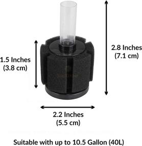 img 1 attached to 🐠 10-Gallon Betta Sponge Filter: Underwater Center Aquarium Filter for Tropical Fish & Breeder Aquariums. Slow Current, Ideal for Fry & Small Fish. Essential for Aquarium Hobbyists.