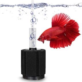 img 3 attached to 🐠 10-Gallon Betta Sponge Filter: Underwater Center Aquarium Filter for Tropical Fish & Breeder Aquariums. Slow Current, Ideal for Fry & Small Fish. Essential for Aquarium Hobbyists.