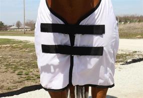 img 3 attached to Shield Your Horse with BasEQ Fly Sheet: Outfitted with Belly Closure for Optimal Protection