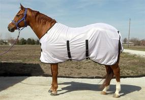 img 2 attached to Shield Your Horse with BasEQ Fly Sheet: Outfitted with Belly Closure for Optimal Protection