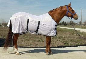 img 1 attached to Shield Your Horse with BasEQ Fly Sheet: Outfitted with Belly Closure for Optimal Protection