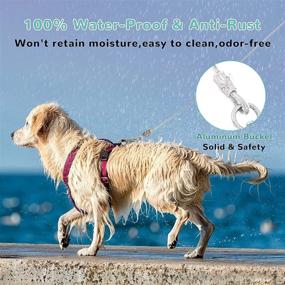img 2 attached to 🐾 NOTOYAYA Chew Proof Dog Leash: No-Tangle Steel Cable Leash for Chewers, Teething Puppies - Waterproof, Easy to Clean, Super Strong and Durable - Dog Training Leash with Comfy Foam Handle