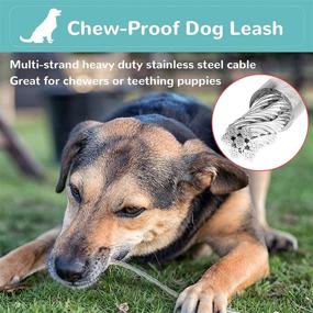 img 3 attached to 🐾 NOTOYAYA Chew Proof Dog Leash: No-Tangle Steel Cable Leash for Chewers, Teething Puppies - Waterproof, Easy to Clean, Super Strong and Durable - Dog Training Leash with Comfy Foam Handle