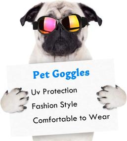 img 1 attached to 🐶 Flantor Dog Goggles: UV Protection Sunglasses for Medium to Large Dogs and Cats - Windproof, Anti-Fog Pet Glasses with Adjustable Strap