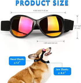 img 2 attached to 🐶 Flantor Dog Goggles: UV Protection Sunglasses for Medium to Large Dogs and Cats - Windproof, Anti-Fog Pet Glasses with Adjustable Strap