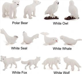 img 3 attached to Набор из 8 фигурок арктических животных-реалистичный пластиковый белый кит, тюлень, волк, лиса, белый медведь, императорский пингвин, фигурки, игрушки для детей, взрослых, украшения
