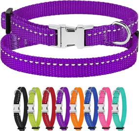 img 4 attached to CollarDirect Small Dog Collar: Adjustable, Reflective Nylon with Metal Buckle in Assorted Vibrant Colors