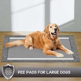 img 1 attached to Odor-Control Charcoal Dog Pads - XXL 30"X36", 6-Layer Leak-Proof & Quick Dry Pee Pads For Dogs, Absorbs Up To 10 Cups Of Liquid, Disposable Training Pads (35 Counts)