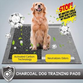 img 3 attached to Odor-Control Charcoal Dog Pads - XXL 30"X36", 6-Layer Leak-Proof & Quick Dry Pee Pads For Dogs, Absorbs Up To 10 Cups Of Liquid, Disposable Training Pads (35 Counts)