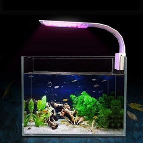 img 4 attached to Senzeal Aquarium Light 1000LM Lighting