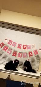 img 7 attached to Сделайте день рождения своей собаки особенным с набором GAGILAND для вечеринки по случаю дня рождения: бандана для собаки, шапка, баннер и многое другое в розовом цвете с воздушным шаром!