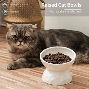 img 2 attached to Stress-Free Feeding For Cats And Small Dogs With Tilted Ceramic Raised Bowls, Set Of 2