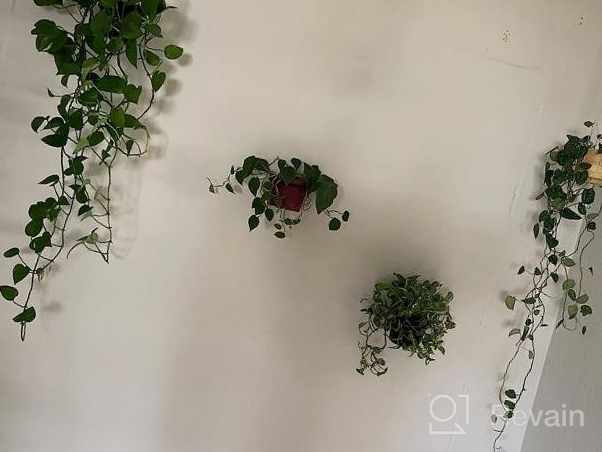 img 1 attached to Orz Set Of 3 Collapsible Flower Pot Holder Rings For Wall-Mounted Plant Display In Iron Black review by Michael Murphy