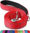 reflective double-sided dog leash with padded handle for small & medium dogs - 5ft red nylon lead for walking and training by joytale logo
