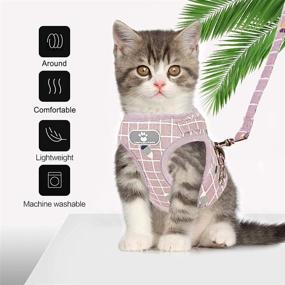 img 1 attached to 🐱 iZiv Cat Harness and Leash Set: Escape-Proof, Reflective Strips, Adjustable Step-In Comfort with Soft Mesh Vest - Perfect for Walking and Outdoor Adventures