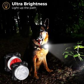 img 2 attached to 🐶 Enhance Visibility with 2 Pieces Rechargeable LED Dog Collar Light - Waterproof Clip-on Safety Lights for Night Walking, Cycling, Running - 4 Light Modes: White & Red