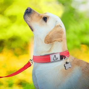 img 2 attached to Reflective And Durable Joytale Neoprene Padded Collar In 11 Colors For Large Dogs With Adjustable Nylon Strap, Heavy Duty Buckle, And Bold Red Color.