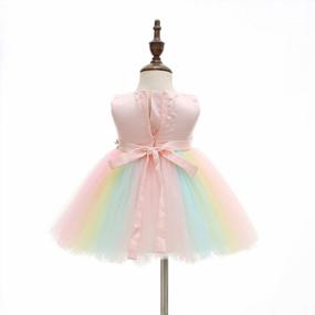 img 1 attached to Weileenice Baby Girls Costume: Rainbow Tulle Princess Tutu Dress with 3D Embroidery and Beading - Perfect for Cosplay!
