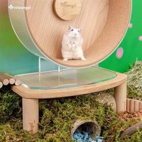 img 1 attached to Niteangel Stable Hamster Wheel Platform: Perfect Fit 🐹 for Super-Silent, Acrylic, Wooden, and Cloud Series Hamster Wheels