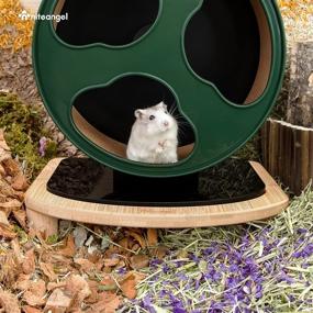 img 2 attached to Niteangel Stable Hamster Wheel Platform: Perfect Fit 🐹 for Super-Silent, Acrylic, Wooden, and Cloud Series Hamster Wheels