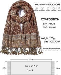 img 3 attached to Pashmina Scarves Paisley Reversible Blanket Women's Accessories : Scarves & Wraps