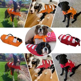 img 2 attached to DABLUE Dog Life Jacket - Ripstop Pet Safety Vest with High Buoyancy and Durable Rescue Handle, Adjustable Swimsuit Preserver for Small, Medium, Large Dogs